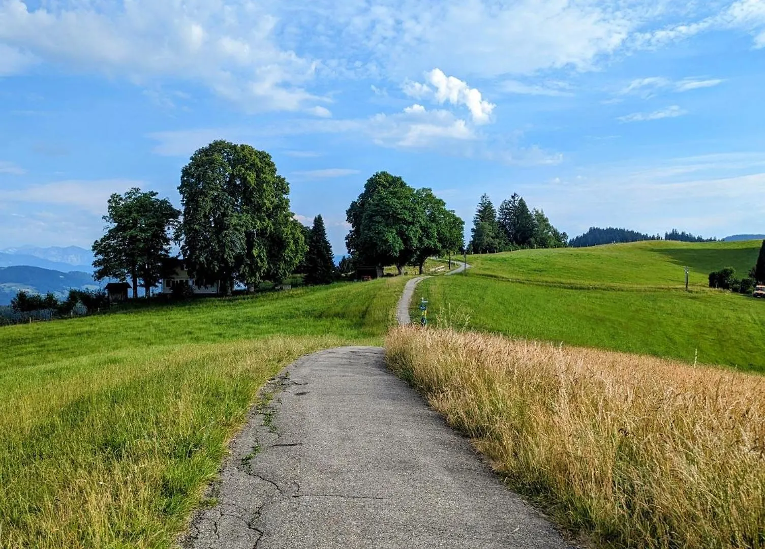 Ferienwohnung Bergpfote - Hund Herzlich Willkommen Scheidegg